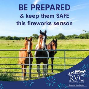 Image post by @NZHorseAmbulanceTrust on Facebook