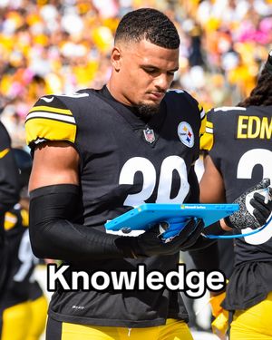 Image post by @steelers on TikTok