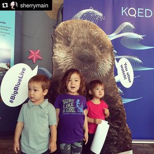 Image post by @kqed on Instagram