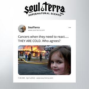 Image post by @soulterra on Instagram
