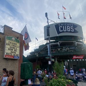 Image post by @murphysbleachers on Instagram