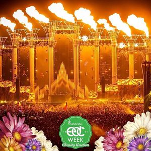 Image post by @edc_lasvegas on Instagram