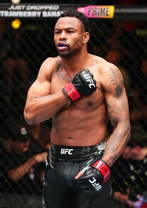 Image post by @ufc on Twitter