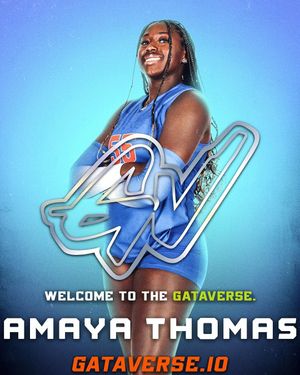 Image post by @gataverse on Instagram