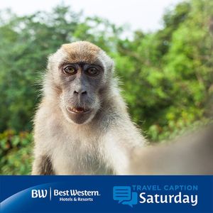 Image post by @bestwestern on Instagram