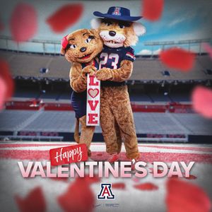 Image post by @ArizonaFBall on Twitter