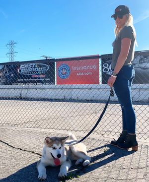 Image post by @courtneyforce on Instagram