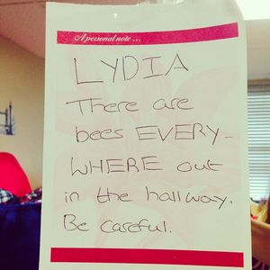 Image post by @lydiashirley on Instagram