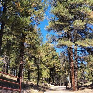 Image post by @nauflagstaff on Instagram