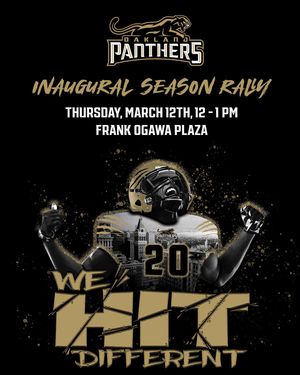 Image post by @panthersifl on Instagram