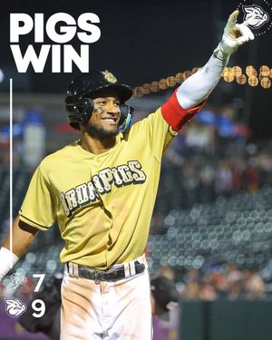 Image post by @IronPigs on Twitter