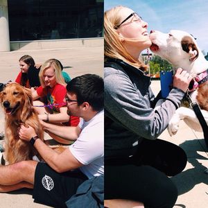 Image post by @studentlifeosu on Instagram