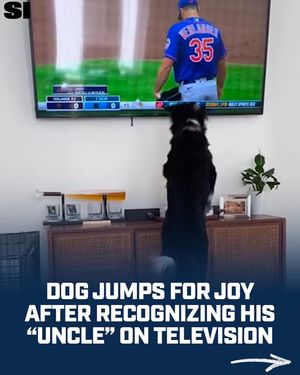 Image post by @sportsillustrated on Instagram