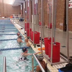Image post by @illiniswimdive on Instagram