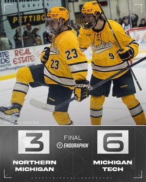 Image post by @everythingcollegehockey on Instagram