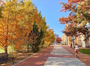 Image post by @udelaware on Instagram