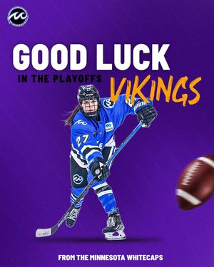 Image post by @mnwhitecaps on Instagram