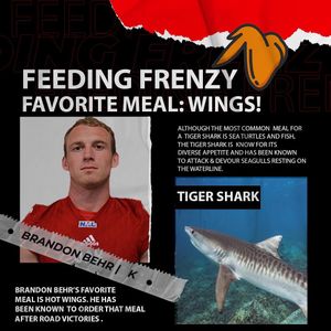 Image post by @jaxsharks on Instagram