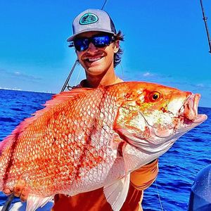Image post by @toadfishoutfitters on Instagram