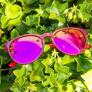 Image post by @knockaround on Instagram