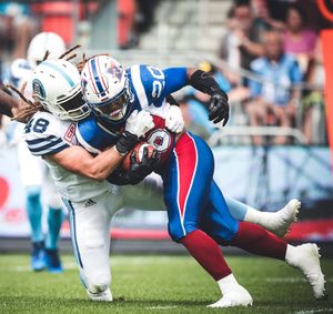 Image post by @torontoargos on Instagram