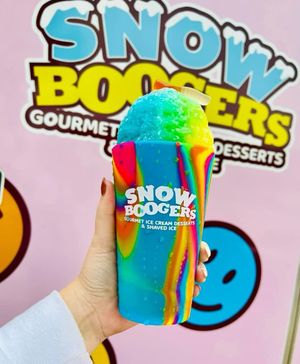 Image post by @snowboogers on Instagram