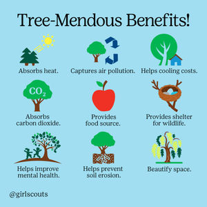 Image post by @girlscouts on Instagram