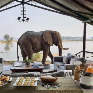 Image post by @chiawasafaris on Instagram