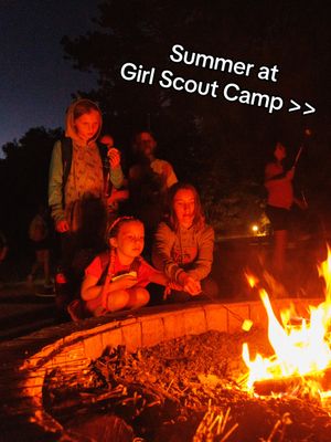 Image post by @sdgirlscouts on TikTok