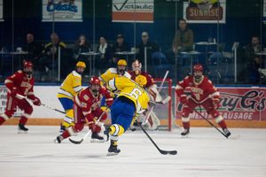 Image post by @nanookshockey on Instagram