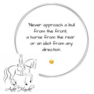 Image post by @ankehawkebalanceddressage on Facebook