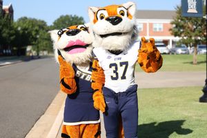 Image post by @goetbutigers on Instagram