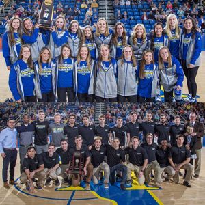 Image post by @udbluehens on Instagram