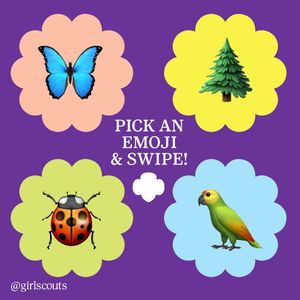 Image post by @girlscouts on Instagram