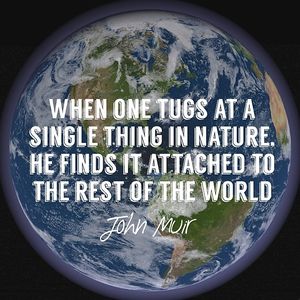 Image post by @lundbergfarms on Instagram