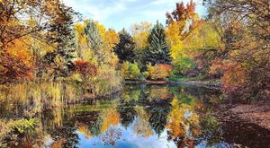 Image post by @boise_bucketlist on Instagram