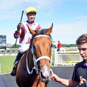 Image post by @australianturfclub on Instagram