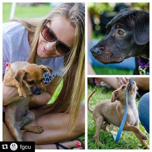 Image post by @fgcu_vb on Instagram