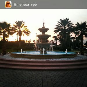Image post by @rosencollege on Instagram