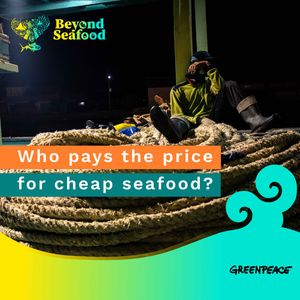 Image post by @greenpeace on Instagram