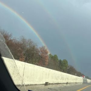 Image post by @whoismashi on Instagram