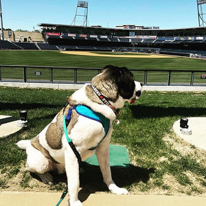 Image post by @nashvillesounds on Instagram