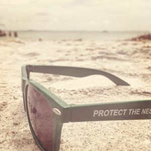 Image post by @fgcudirtybirds on Instagram