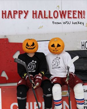 Image post by @wsu_hockey_ on Instagram