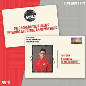 Image post by @utahswimdive on Instagram