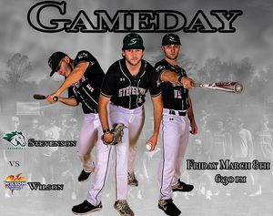 Image post by @stevensonbsb on Instagram