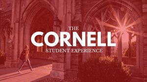 Image post by @Cornell on Twitter