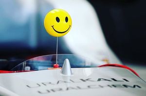 Image post by @alexpalou on Instagram