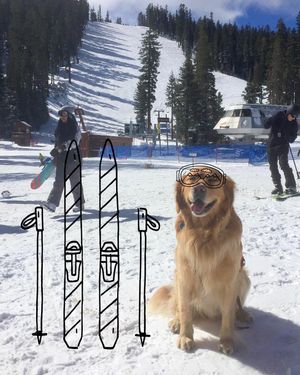 Image post by @sierra_at_tahoe on Instagram
