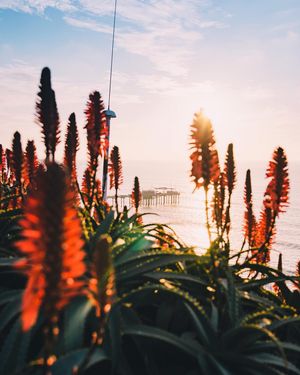 Image post by @ryxnlevy on Instagram